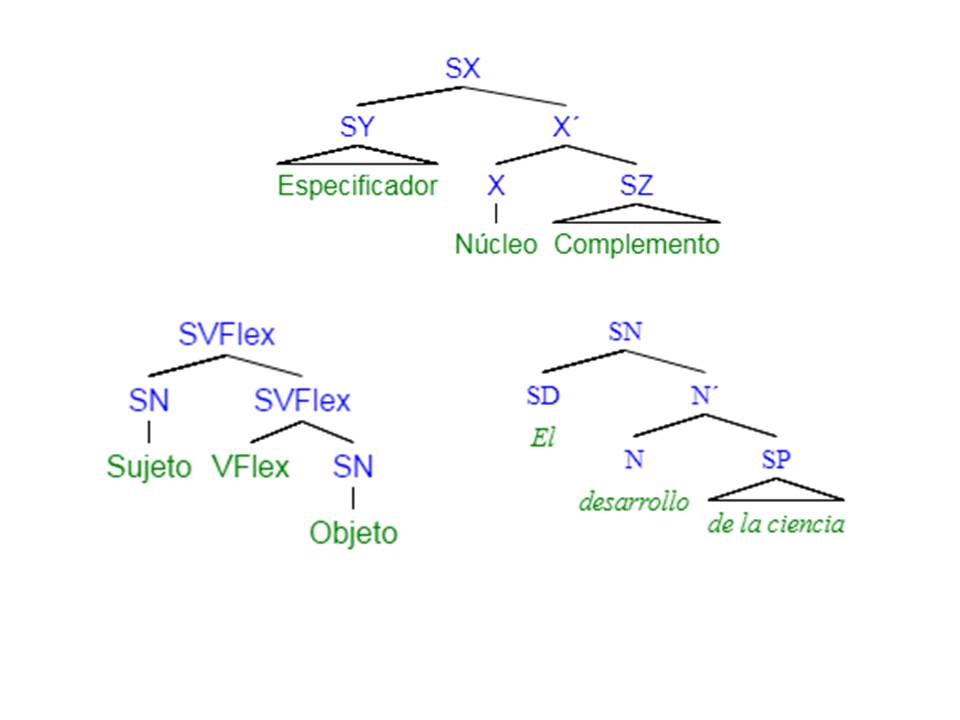                             Relaciones sintácticas básicas